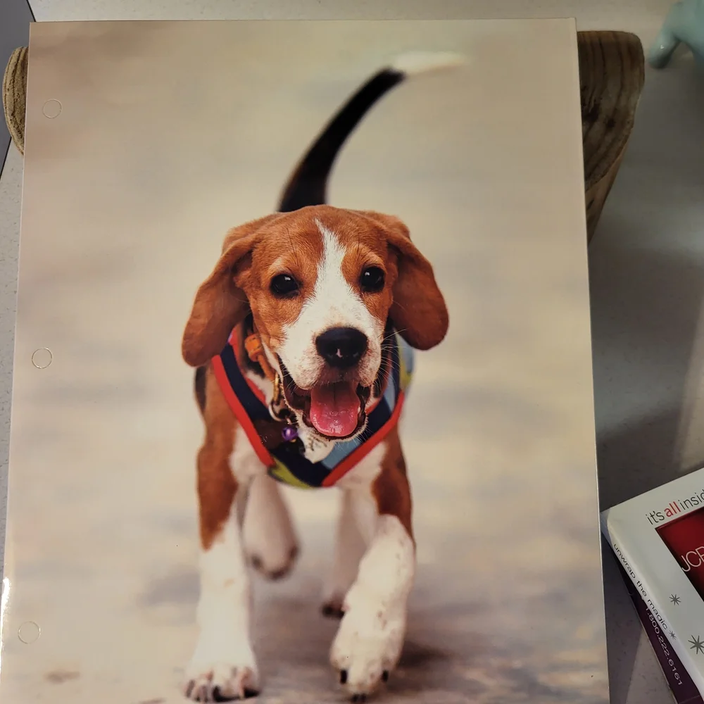 Vintage 3 Ring Binder With Beagle Puppy